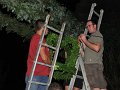 Binden am Donnerstag 111